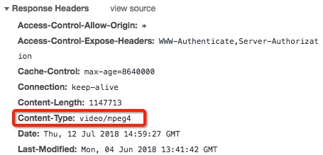 content-type-mpeg4